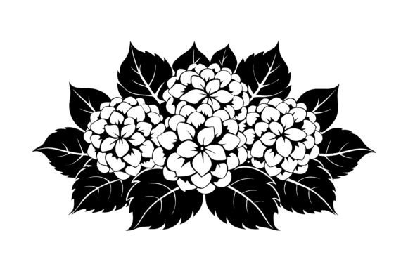 Hydrangeas Flower Silhouette Vector: A Guide to Choosing and Using the Right Design