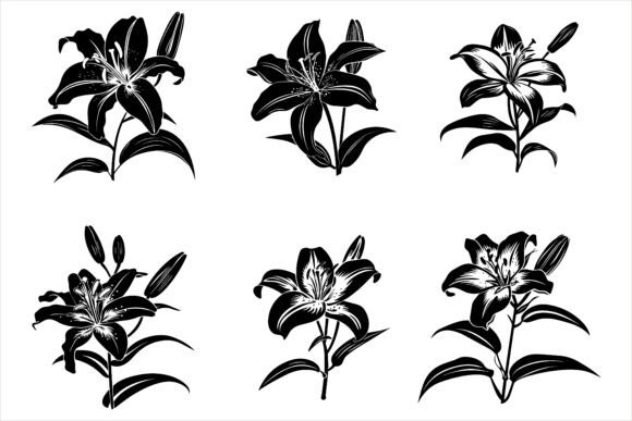 Lily Flower Silhouette Vector: A Versatile Design Element for Creative and Professional Use